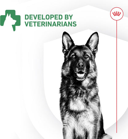 Royal Canin Probiotics Powder Supplement for Dogs - Boost Digestive & Immune Health, 30 Count - Suitable for All Ages