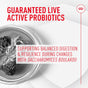 Royal Canin Probiotics Powder Supplement for Dogs - Boost Digestive & Immune Health, 30 Count - Suitable for All Ages