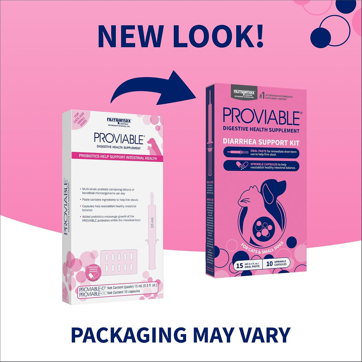 Nutramax Proviable Digestive Health Supplement Kit – Multi-Strain Probiotics & Prebiotics for Cats and Small Dogs – 15 ml Paste & 10 Capsules for Optimal Gut Health