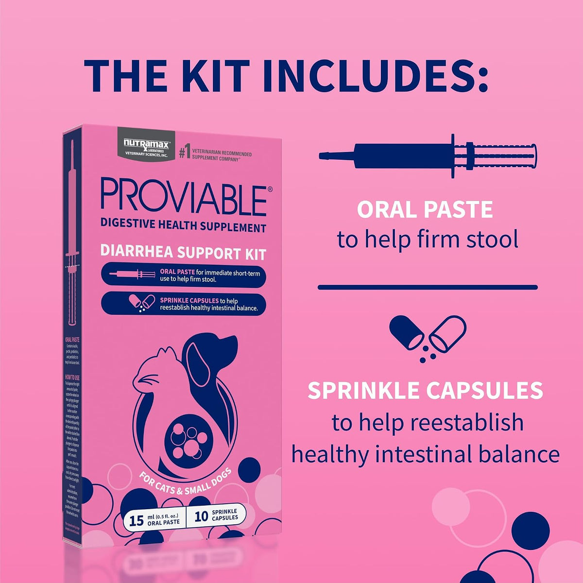 Nutramax Proviable Digestive Health Supplement Kit – Multi-Strain Probiotics & Prebiotics for Cats and Small Dogs – 15 ml Paste & 10 Capsules for Optimal Gut Health