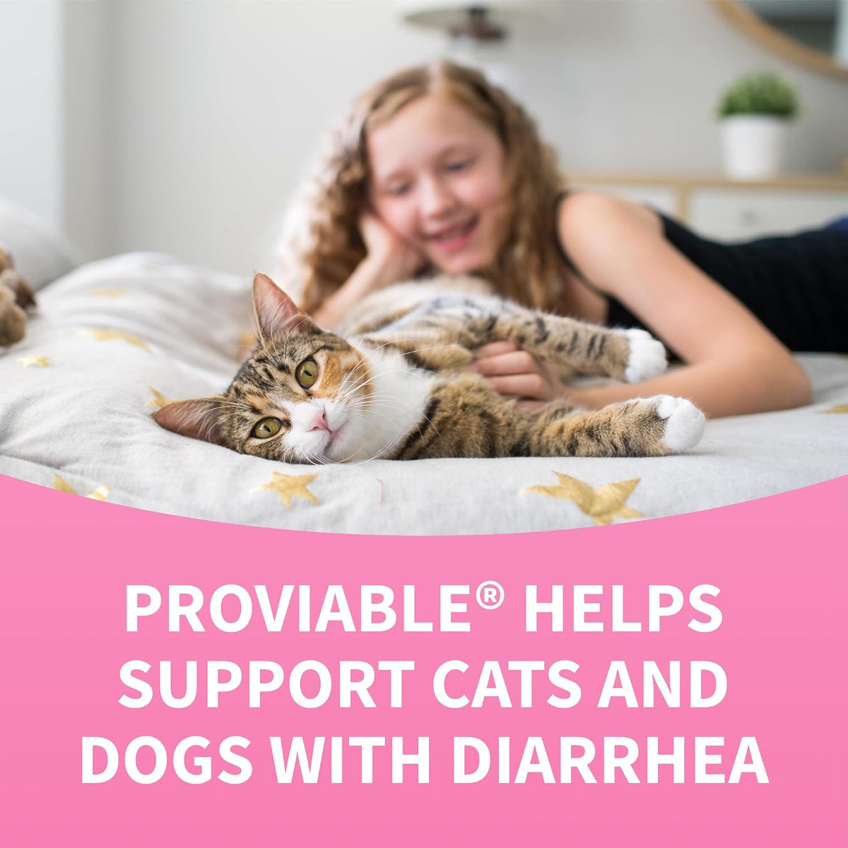 Nutramax Proviable Digestive Health Supplement Kit – Multi-Strain Probiotics & Prebiotics for Cats and Small Dogs – 15 ml Paste & 10 Capsules for Optimal Gut Health