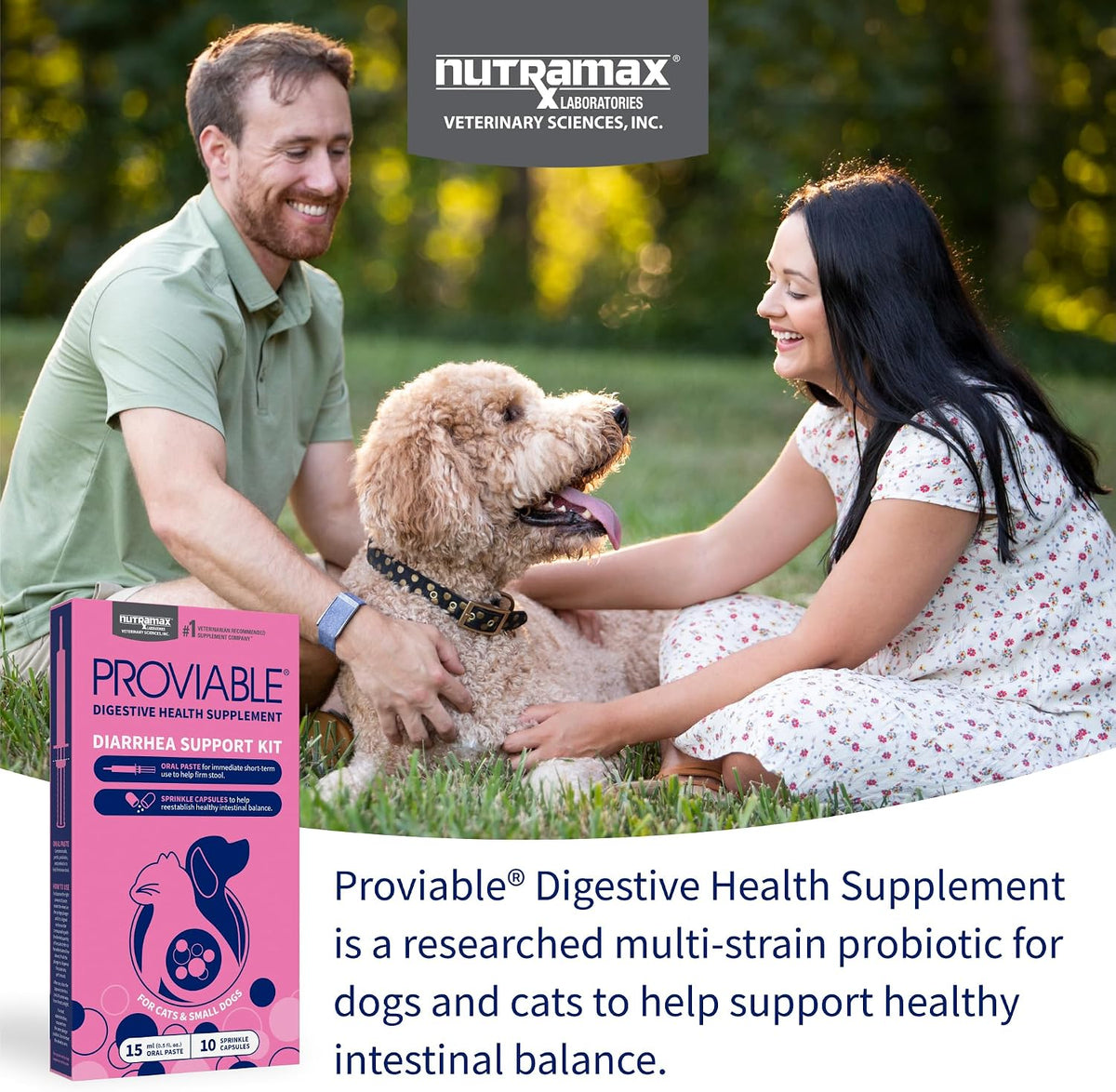 Nutramax Proviable Digestive Health Supplement Kit – Multi-Strain Probiotics & Prebiotics for Cats and Small Dogs – 15 ml Paste & 10 Capsules for Optimal Gut Health