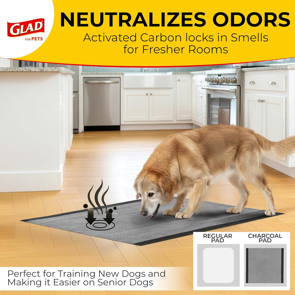 Extra Large Charcoal Dog Training Pads - 30 Count for Ultimate Odor Control and Protection