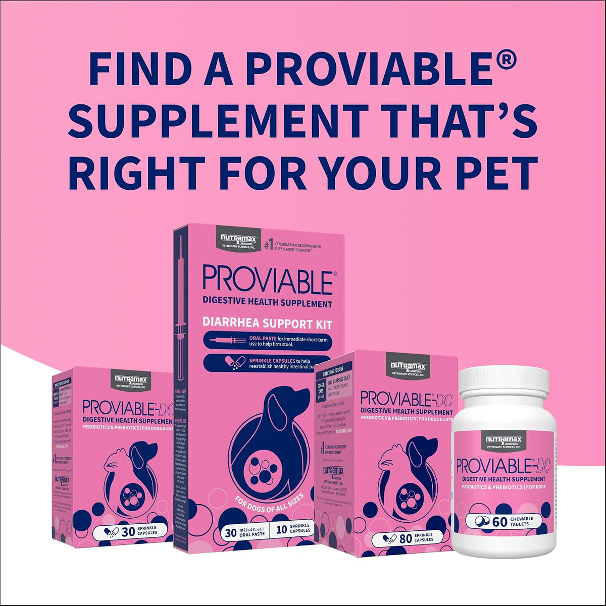 Nutramax Proviable Digestive Health Supplement Kit – Multi-Strain Probiotics & Prebiotics for Cats and Small Dogs – 15 ml Paste & 10 Capsules for Optimal Gut Health