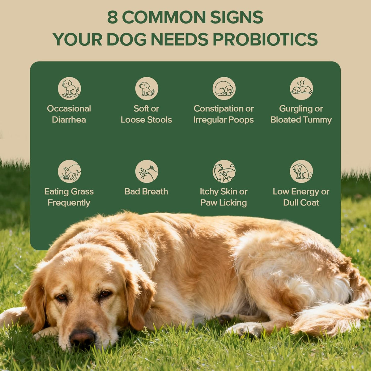 Delicious Duck Probiotics for Dogs - Enhance Digestive Health, Relieve Itchy Skin and Ears, Boost Gut & Immune Support - 30 Chews with 7 Enzymes, 3 Prebiotics & Omega-3