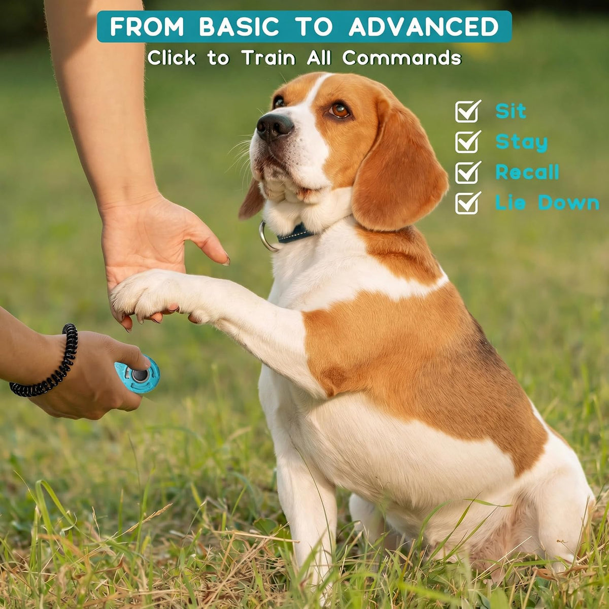 Ultimate Clicker Training Tool for Dogs, Cats, Birds, and Horses – Includes Wrist Strap & Keyring for Effortless Training!