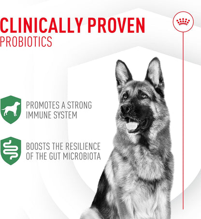 Royal Canin Probiotics Powder Supplement for Dogs - Boost Digestive & Immune Health, 30 Count - Suitable for All Ages