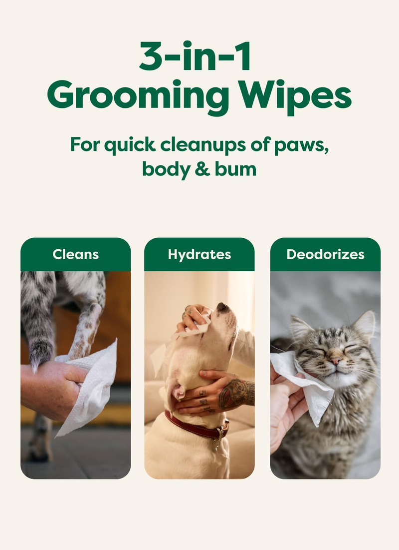 Eco-Friendly Dog Wipes - Deodorizing & Unscented, 100 Count for Paws & Butt Cleanliness