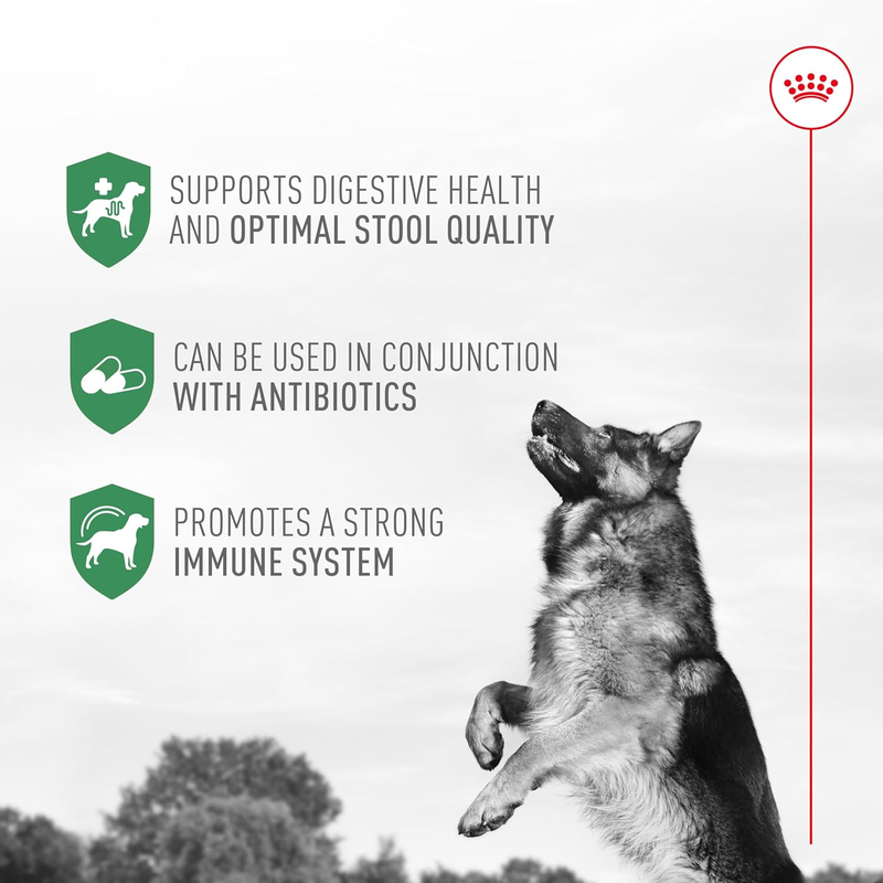 Royal Canin Probiotics Powder Supplement for Dogs - Boost Digestive & Immune Health, 30 Count - Suitable for All Ages