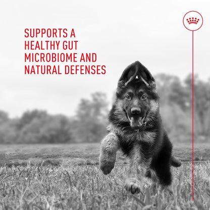 Royal Canin Probiotics Powder Supplement for Dogs - Boost Digestive & Immune Health, 30 Count - Suitable for All Ages